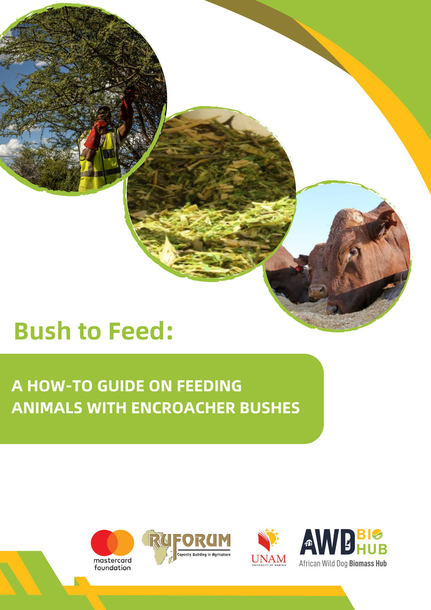 Bush to Feed Guide