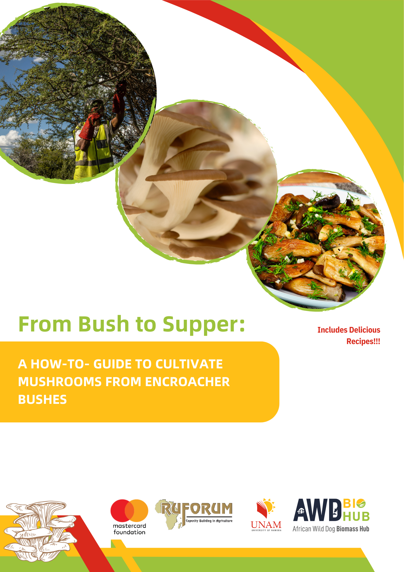 From Bush to Supper Guide