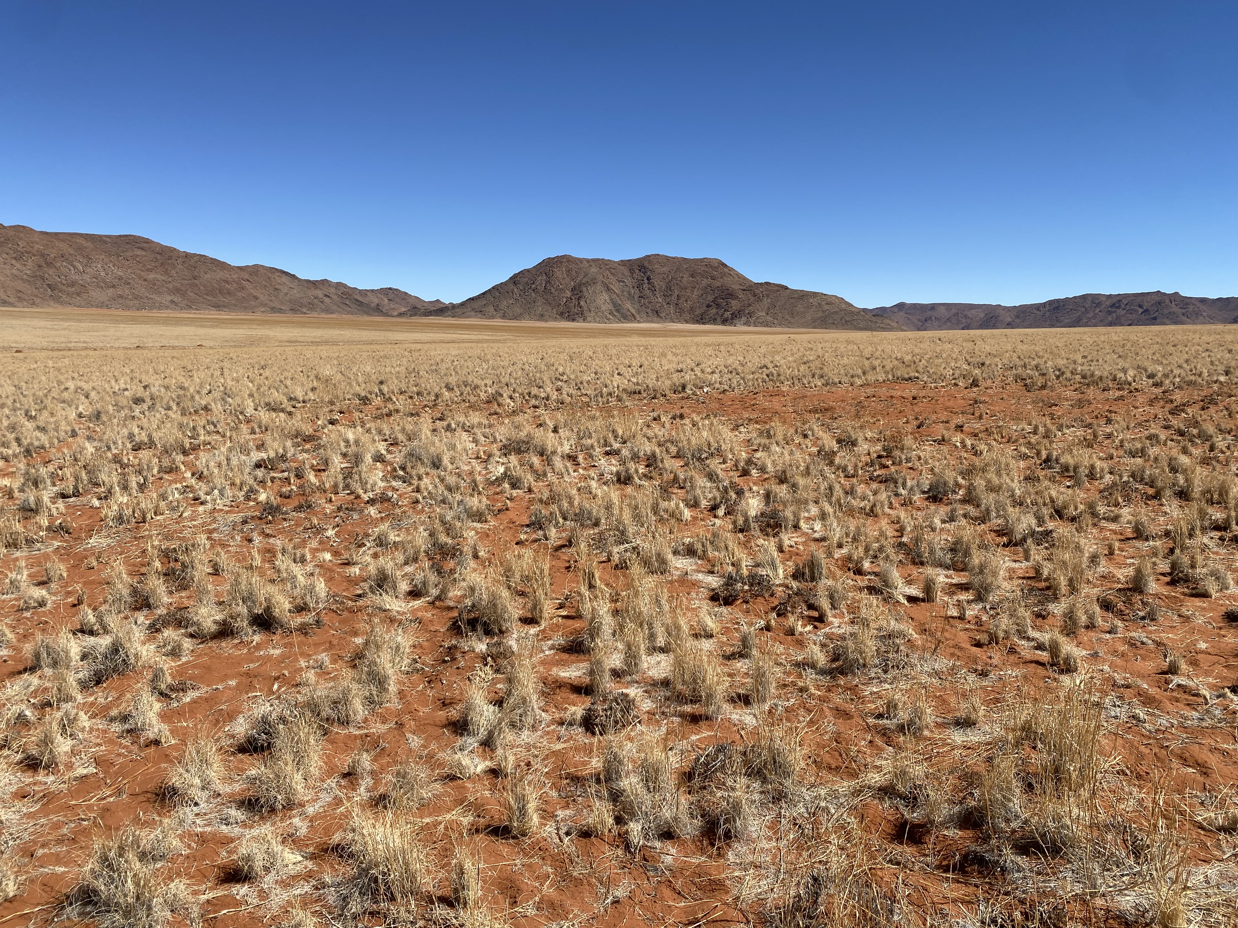 Drought Image