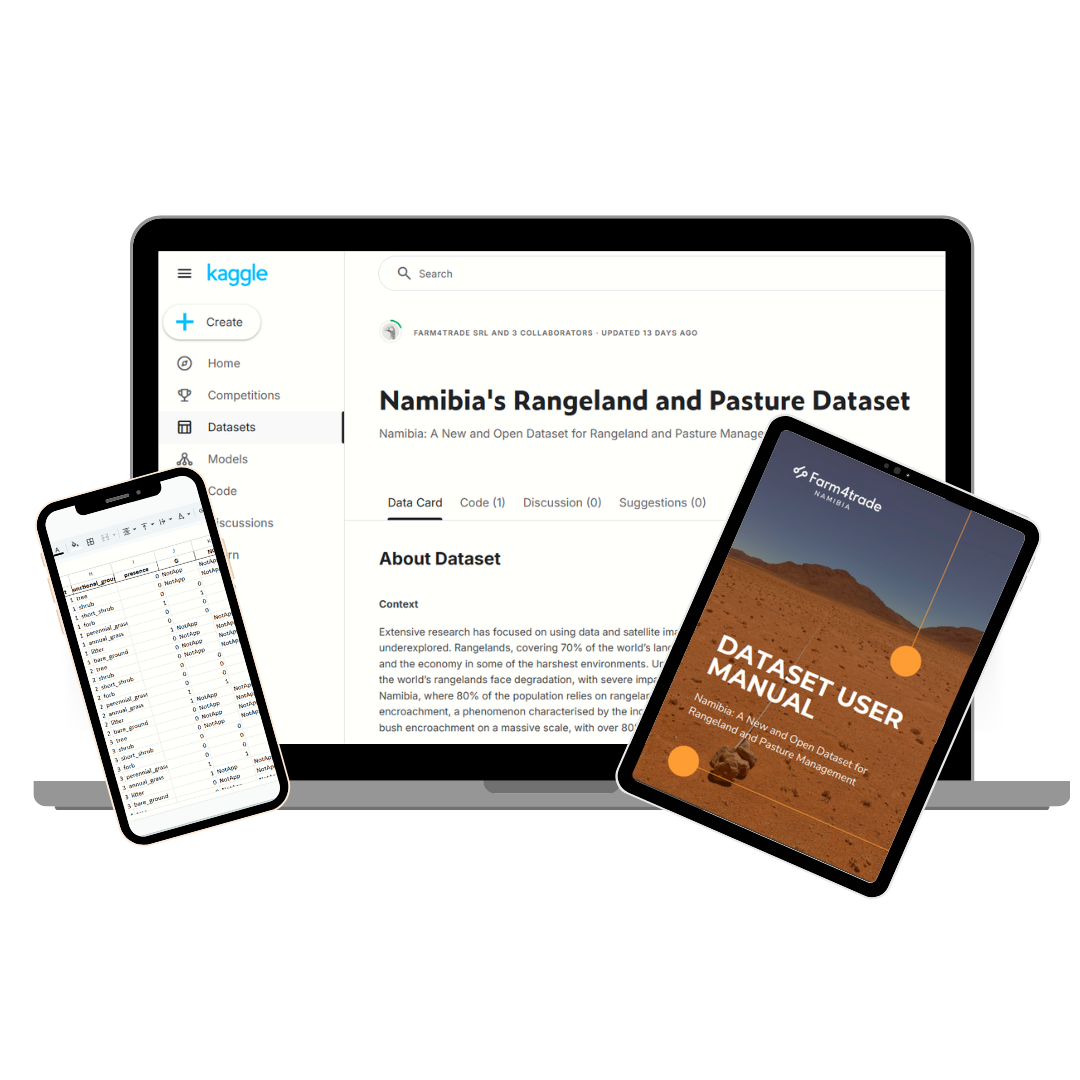 Dataset Overview